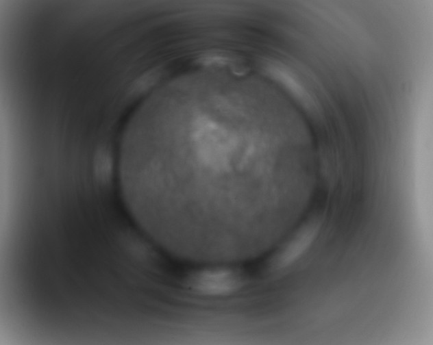 X0000092330357200709211311
