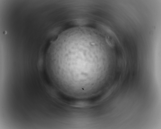 X0000092330360200709211311
