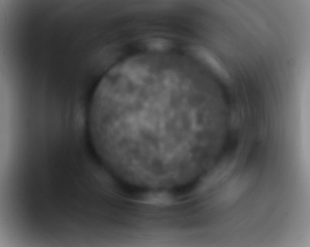 X0000092330363200709211311