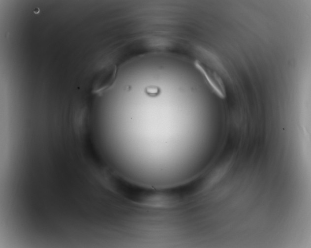 X0000092330364200709211311