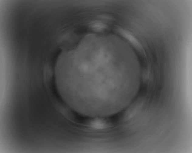 X0000092330365200709211311