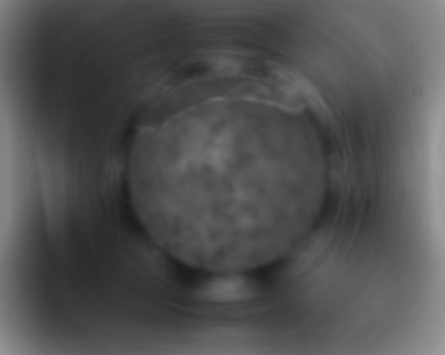 X0000092330369200709211311