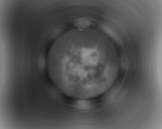 X0000092330371200709211311