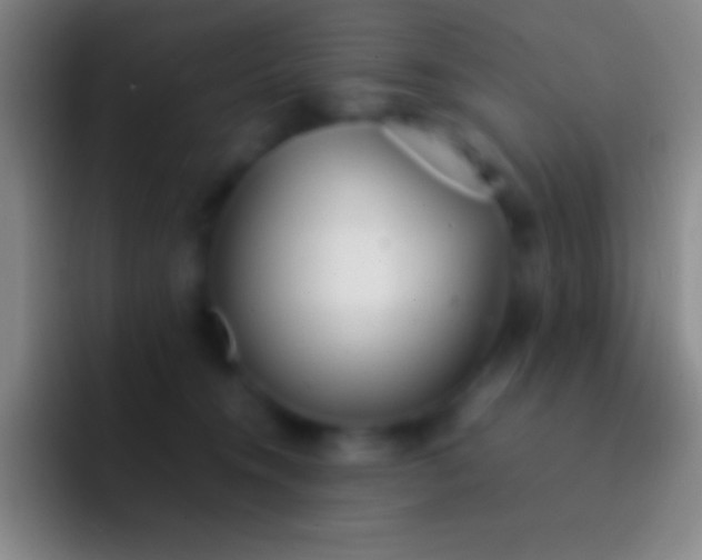 X0000092330372200709211311
