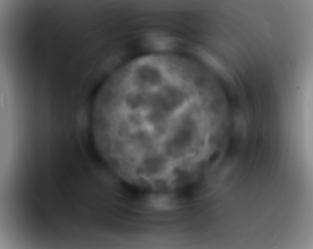 X0000092330373200709211311