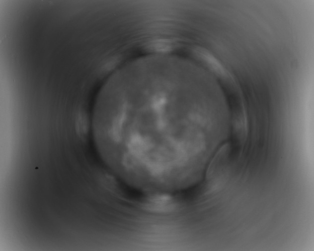 X0000092330374200709211311