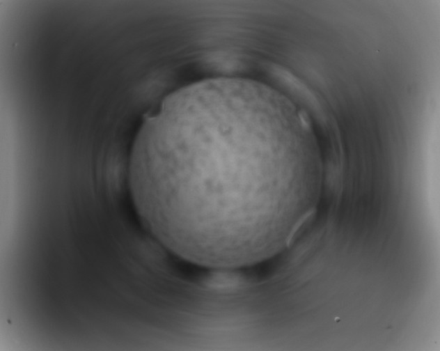 X0000092330376200709211311