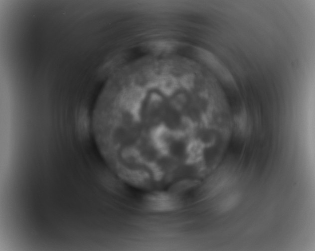 X0000092330381200709211311