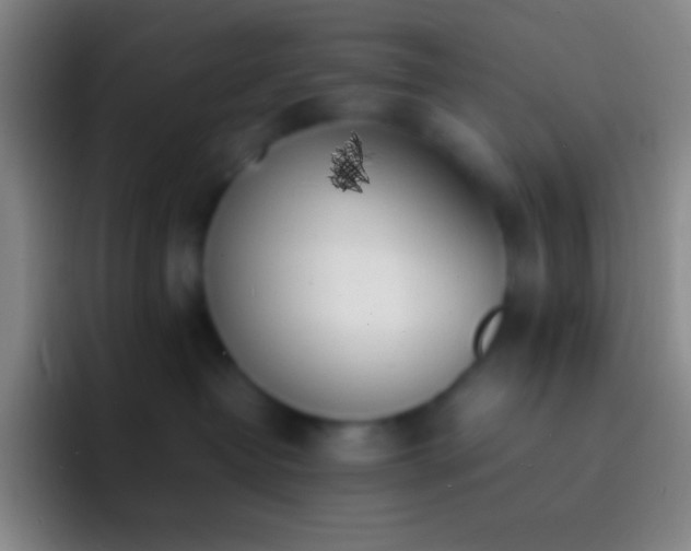 X0000092330382200709211311