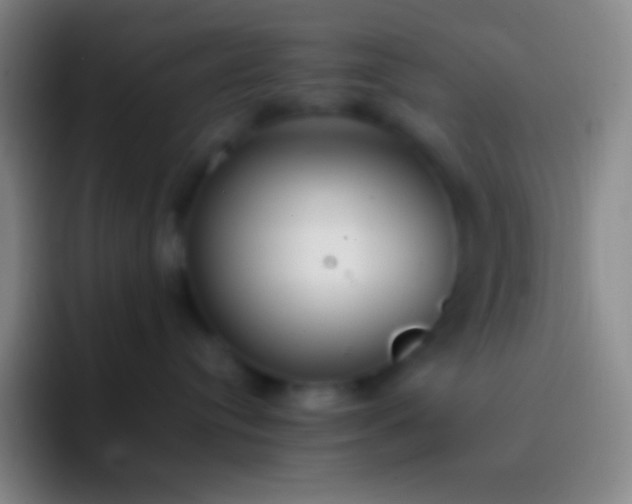 X0000092330384200709211311