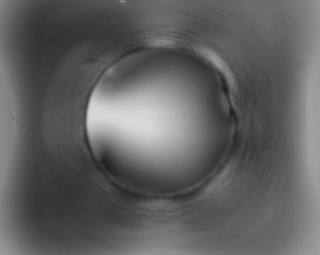 X0000092330385200709211311