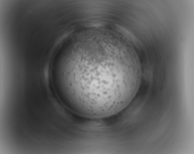 X0000092330386200709211311
