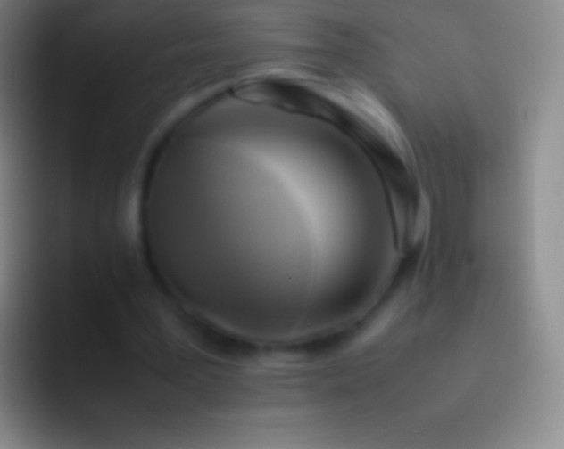 X0000092330387200709211311
