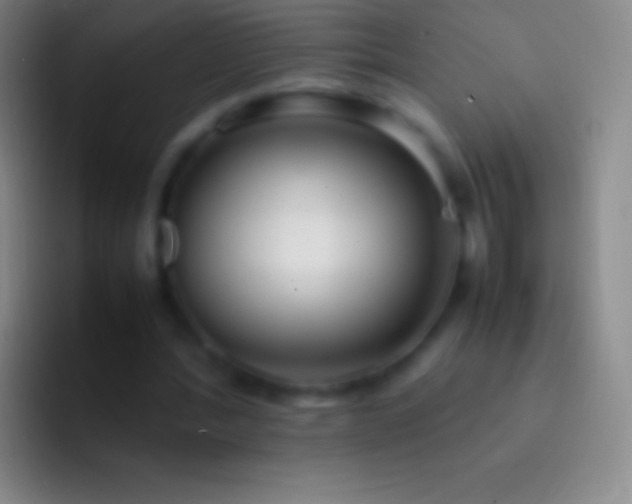 X0000092330388200709211311