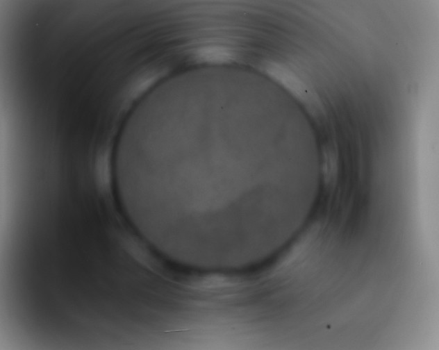 X0000092330390200709211311