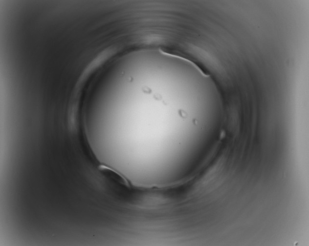 X0000092330392200709211311