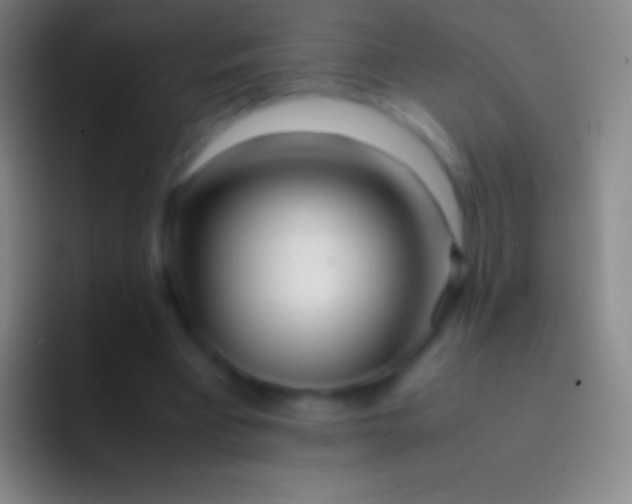 X0000092330393200709211311