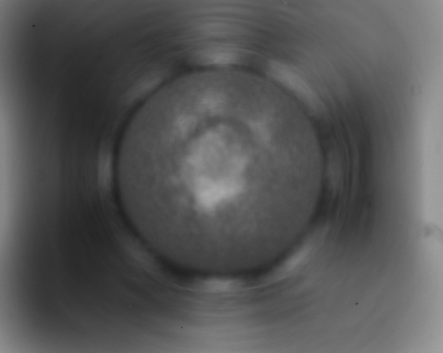 X0000092330394200709211311