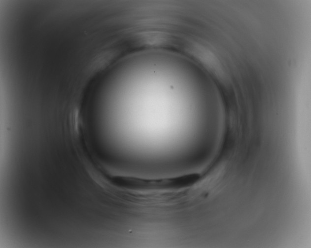 X0000092330397200709211311