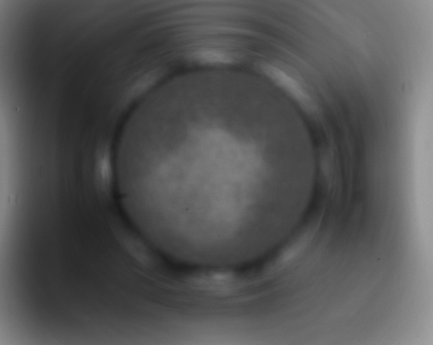 X0000092330398200709211311