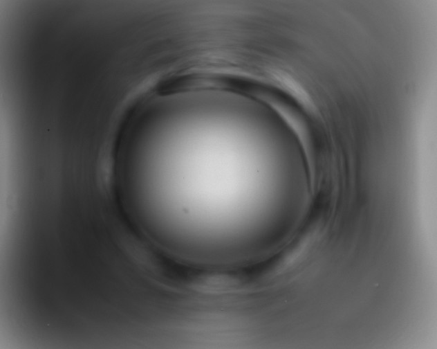 X0000092330399200709211311