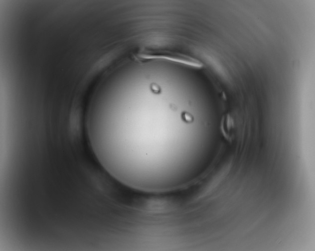 X0000092330400200709211311