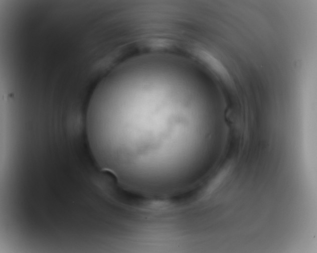 X0000092330401200709211311