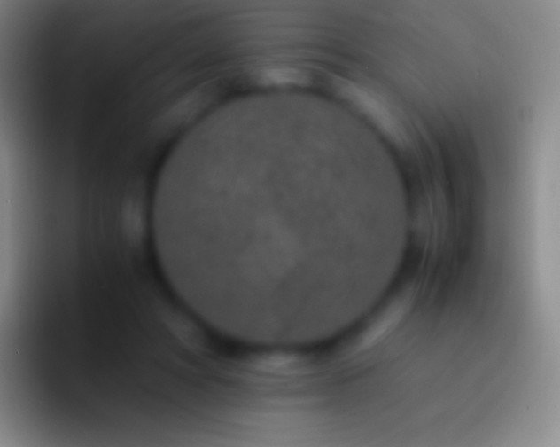 X0000092330402200709211311