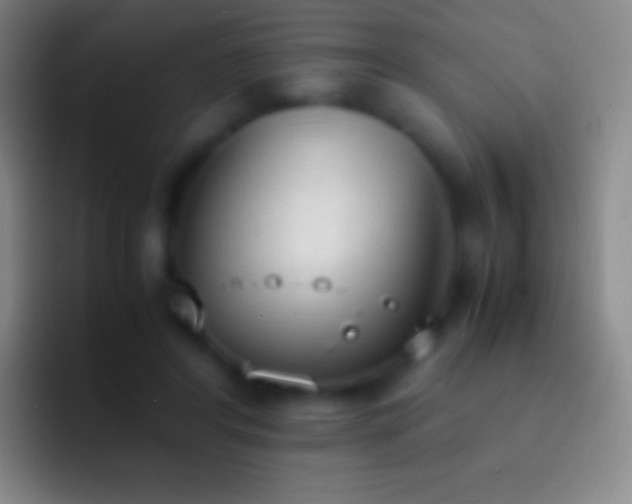 X0000092330404200709211311