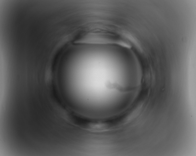 X0000092330407200709211311