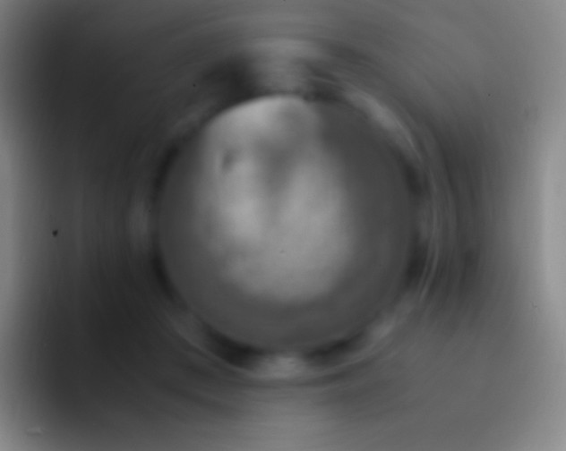 X0000092330409200709211311