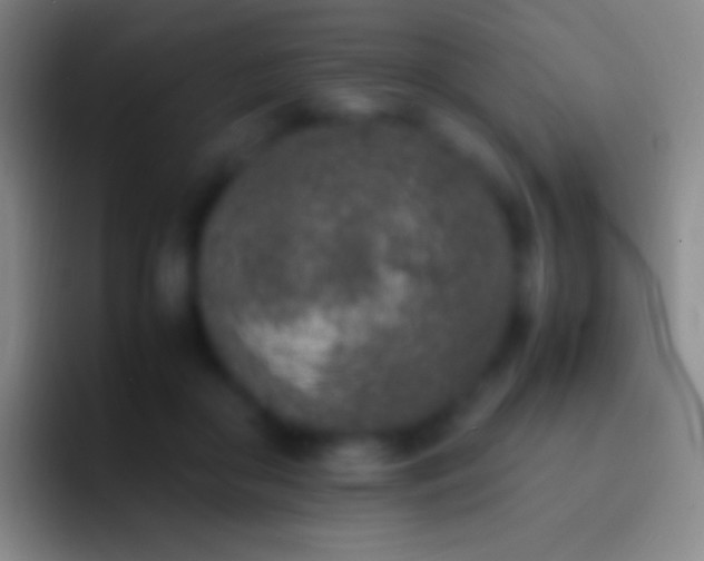 X0000092330410200709211311