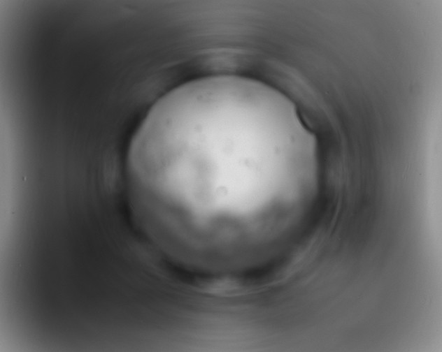 X0000092330411200709211311