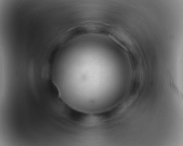 X0000092330413200709211311