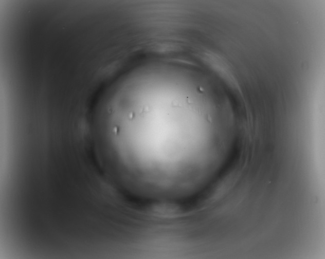 X0000092330415200709211311
