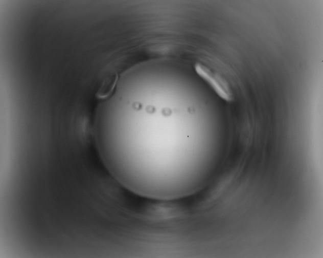 X0000092330420200709211311