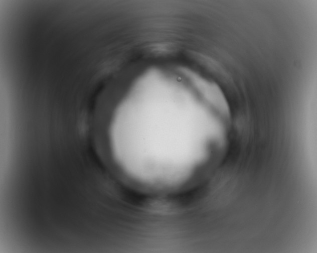 X0000092330423200709211310