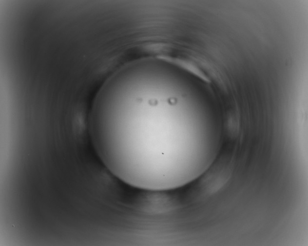 X0000092330424200709211310