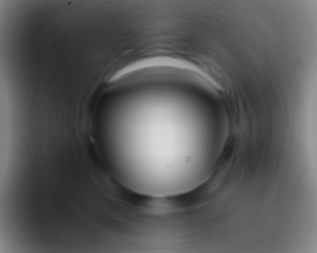 X0000092330425200709211310