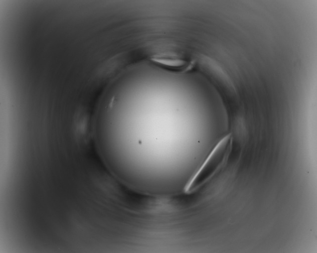 X0000092330428200709211310