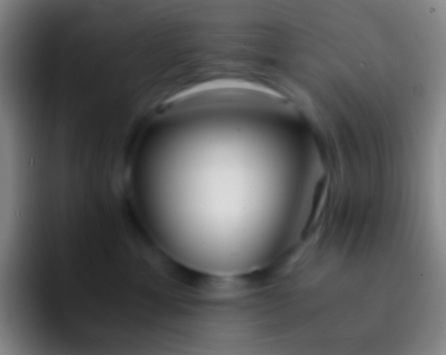 X0000092330429200709211310