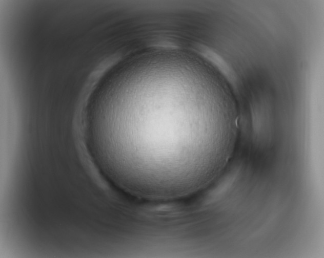 X0000092330433200709211310