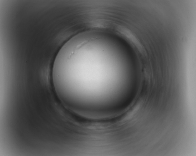 X0000092330434200709211310