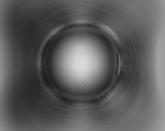 X0000092330436200709211310