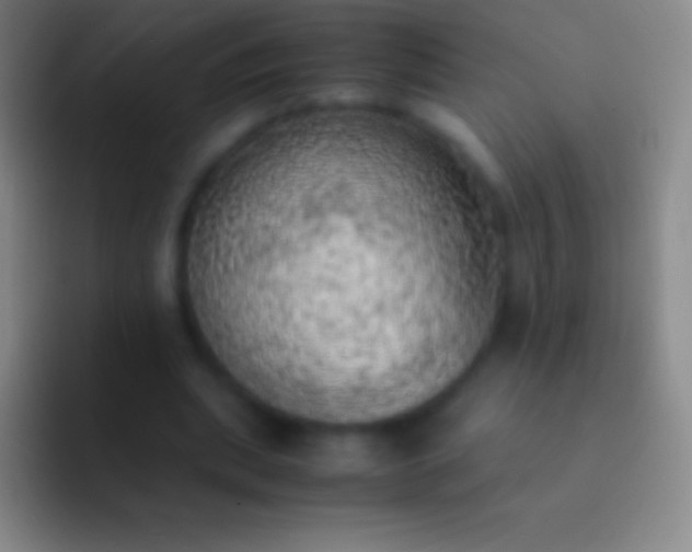 X0000092330439200709211310