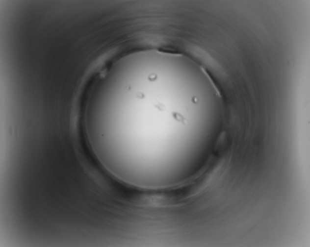 X0000092330440200709211310