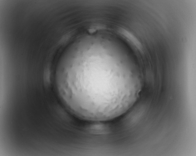 X0000092330441200709211310