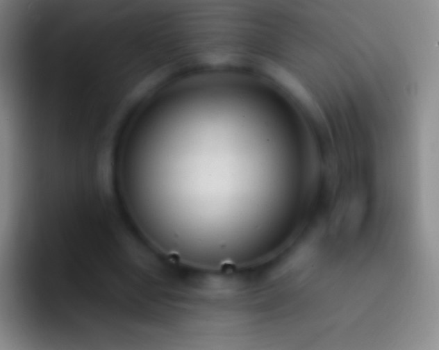 X0000092330442200709211310