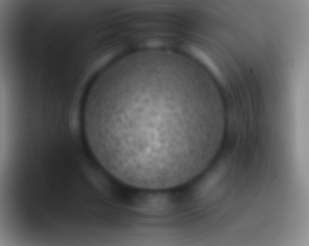 X0000092330443200709211310
