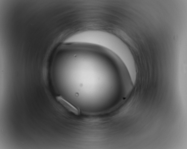 X0000092330444200709211310